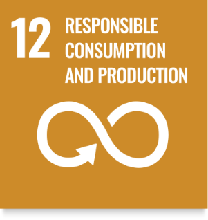 12 - Responsible Consumption and Production